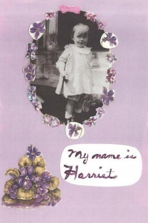 bigCover of the book My Name Is Harriet by 