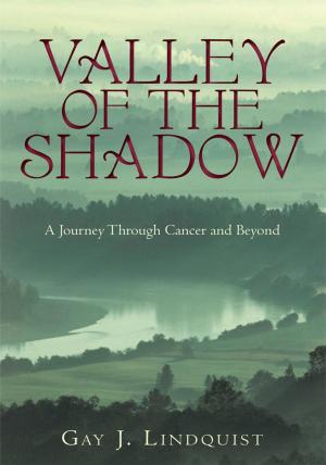 Cover of the book Valley of the Shadow by Jim Spensley