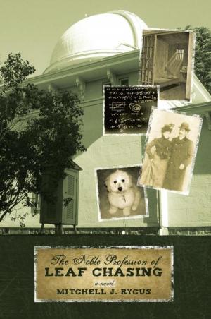 Book cover of The Noble Profession of Leaf Chasing