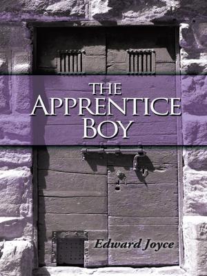 Cover of the book The Apprentice Boy by John Caulfield