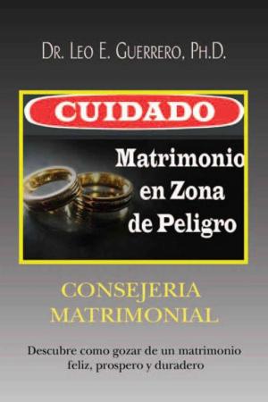 Cover of the book Cuidado: Matrimonio En Zona De Peligro by Robert E. Bonson