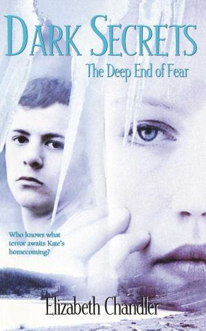 Cover of the book The Deep End of Fear by Jessica Martinez