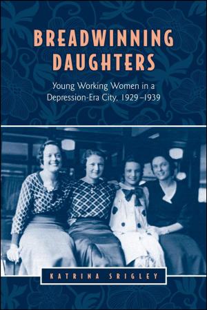 Book cover of Breadwinning Daughters