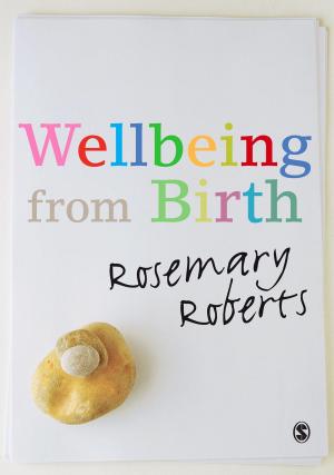 Cover of the book Wellbeing from Birth by Harold W. Stanley, Professor Richard G. Niemi