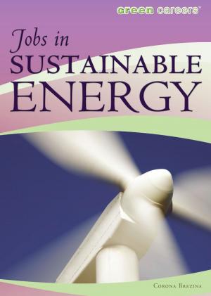 Cover of the book Jobs in Sustainable Energy by Marie D. Jones