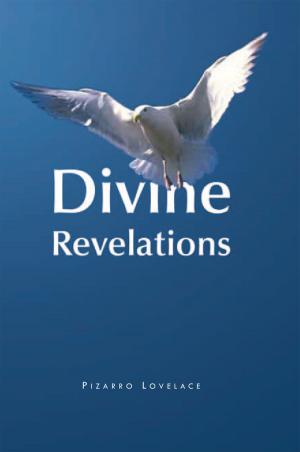 Cover of the book Divine Revelations by Mary Hilaire Tavenner PhD