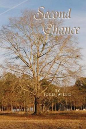 Cover of the book Second Chances by Esther Riley