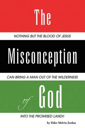 Cover of the book The Misconception of God by Lee D. Rorman