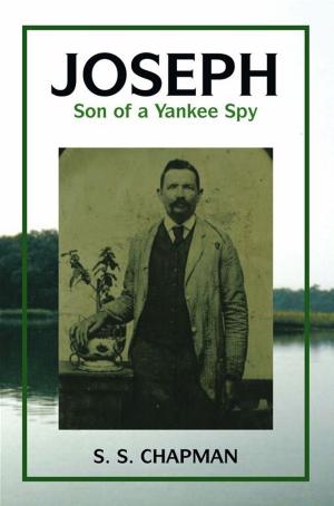 Cover of the book Joseph, Son of a Yankee Spy by Aaron Cox, Gregory Wright
