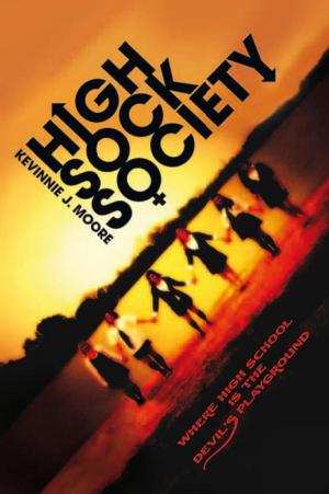 Cover of the book High Sock Society by Profil Yayıncılık