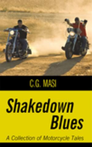 Cover of the book Shakedown Blues by David T Williams