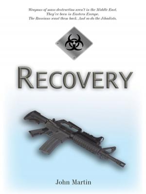 Cover of the book Recovery by Gary Levey