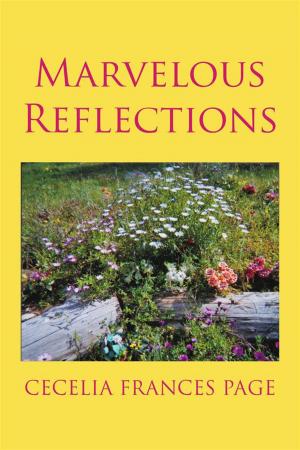 Cover of the book Marvelous Reflections by JAMES M. VESELY