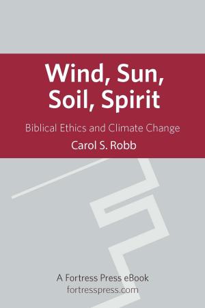 Cover of the book Wind Sun Soil Spirit by Sallie McFague