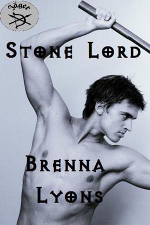 Cover of the book Stone Lord by J. Z. Colby