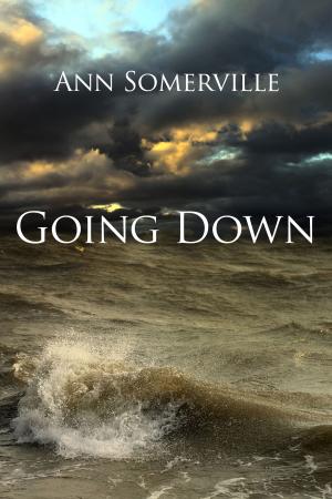Cover of the book Going Down by Ann Somerville