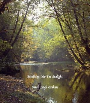 Cover of the book Breathing Into The Sunlight by Kristi E. Moore