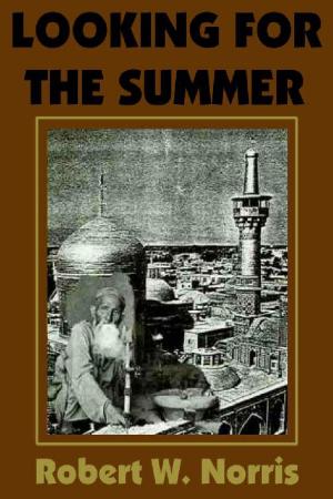 Cover of the book Looking for the Summer by R.W. Peake