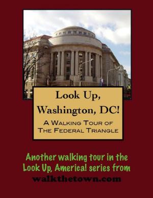 Cover of the book A Walking Tour of the Washington's Federal Triangle by Doug Gelbert