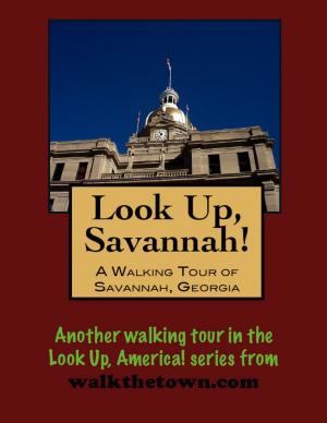 Cover of the book Look Up, Savannah! A Walking Tour of Savannah, Georgia by Ruth Doumlele