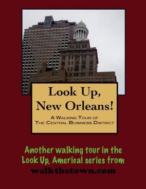 Cover of the book A Walking Tour of the New Orleans Central Business District by John Coast