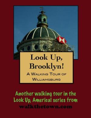 Book cover of A Walking Tour of Brooklyn's Williamsburg Section