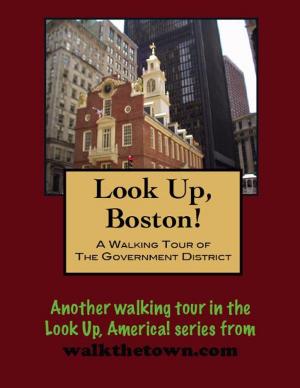 Cover of the book A Walking Tour of Boston's Government District by Doug Gelbert
