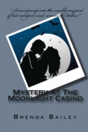 Cover of the book Mystery at the Moonlight Casino by Edward J Schneider