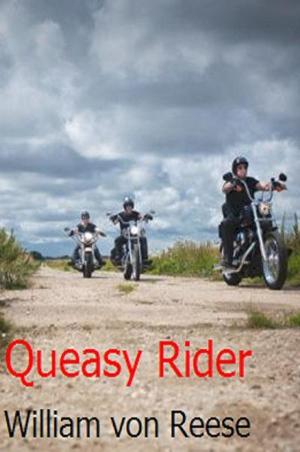 Cover of the book Queasy Rider by Allen Taylor