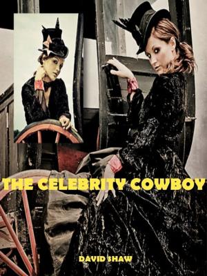 Book cover of The Celebrity Cowboy