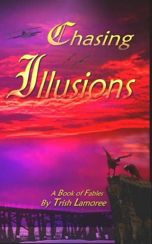 Book cover of Chasing Illusions