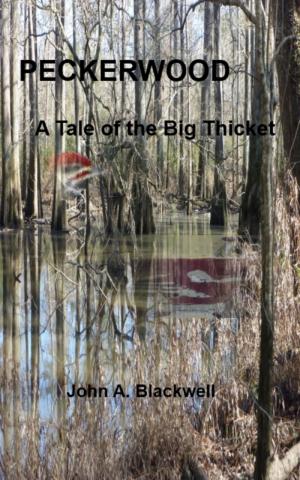 Cover of the book Peckerwood: A Tale of the Big Thicket by Oliver Frances