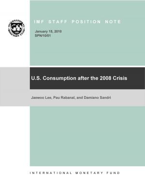 Cover of the book U.S. Consumption after the 2008 Crisis by Peter Mr. Heller, William Mr. Hsiao