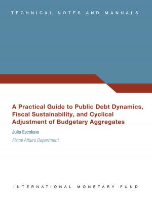 Cover of the book A Practical Guide to Public Debt Dynamics, Fiscal Sustainability, and Cyclical Adjustment of Budgetary Aggregates by International Monetary Fund. Research Dept.