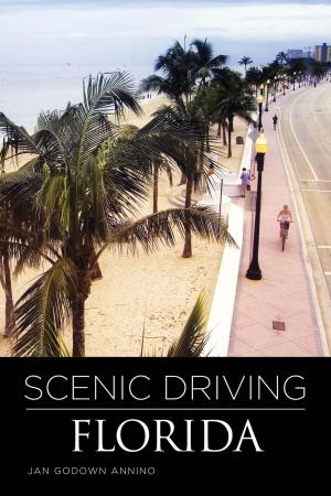 Cover of the book Scenic Driving Florida by Barbara Rogers, Stillman Rogers