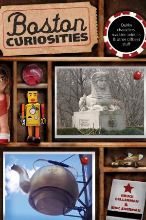 Cover of the book Boston Curiosities by Sean Pager, Carrie Frasure