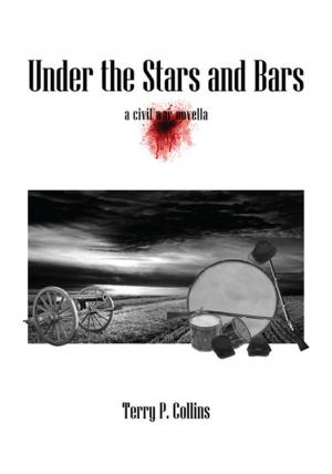 Cover of the book Under the Stars and Bars by Kitt Foxx