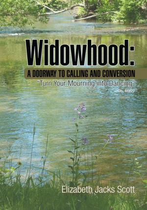 Cover of the book Widowhood: a Doorway to Calling and Conversion by Leslie Herzberger
