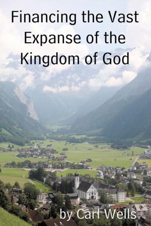 Book cover of Financing the Vast Expanse of the Kingdom of God