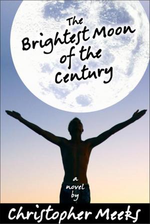 Cover of the book The Brightest Moon of the Century by Christopher Meeks