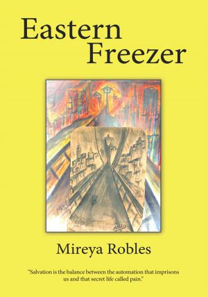 Cover of the book Eastern Freezer by Kirsten E.A. Borg