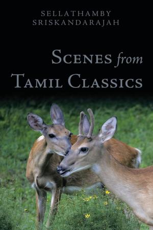 Cover of the book Scenes from Tamil Classics by Anta Marx