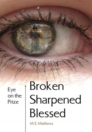Cover of the book Broken/Sharpened/Blessed by Svetlana Miskovic