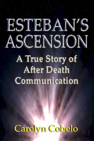 Cover of Esteban's Ascension: A True Story of After Death Communication