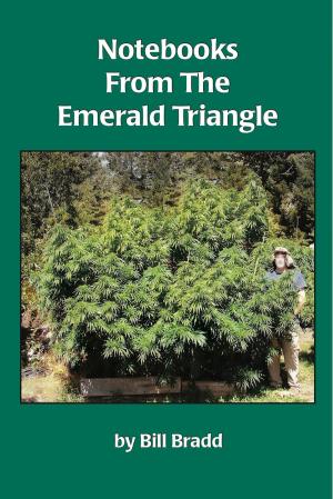bigCover of the book Notebooks from the Emerald Triangle by 