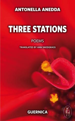 Cover of the book Three Stations by Cristina Perissinotto