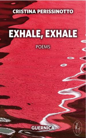 Cover of the book Exhale, Exhale by David Zieroth