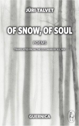 Cover of the book Of Snow, Of Soul by John O'Neill