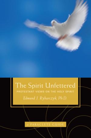 Cover of the book The Spirit Unfettered by Jill Geoffrion