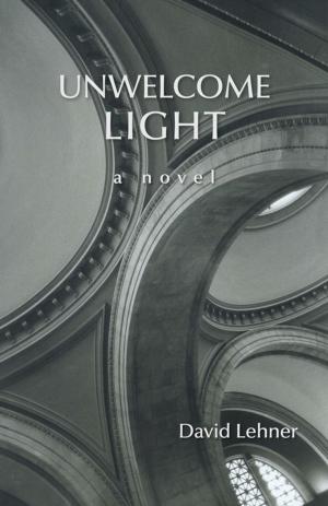 Cover of the book Unwelcome Light by Ann L. McLaughlin